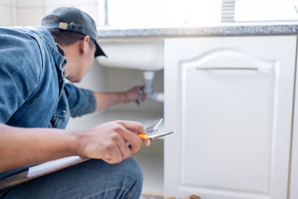 Best Local Plumber Services  in Aliquip, PA